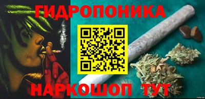 Альфа ПВП Сланцы