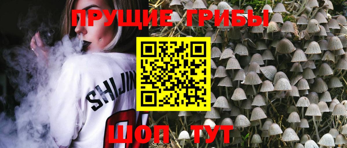 Новосибирск  Галлюциногенные грибы Magic Shrooms  Вход с VPN 
